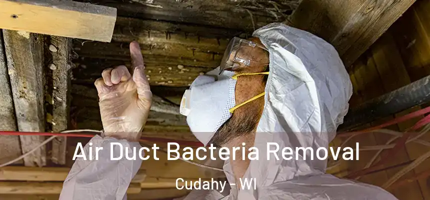  Air Duct Bacteria Removal Cudahy - WI