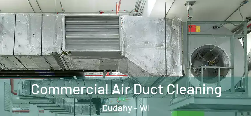  Commercial Air Duct Cleaning Cudahy - WI
