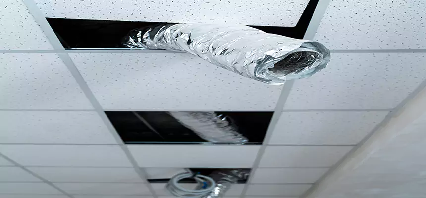 Our Air Duct Pet Hair Removal Services in Cudahy, WI