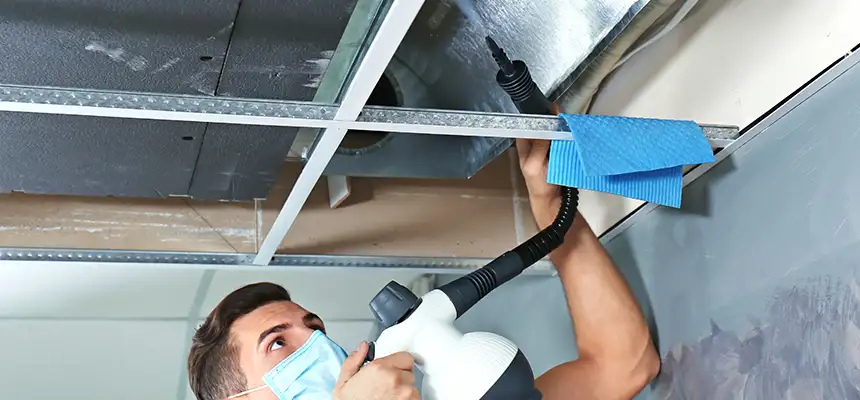 Our Air Duct Rodent Removal Services in Cudahy, WI
