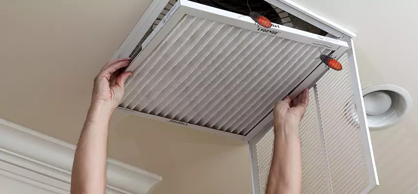 Our Insect Removal from Air Ducts Services in Cudahy, WI