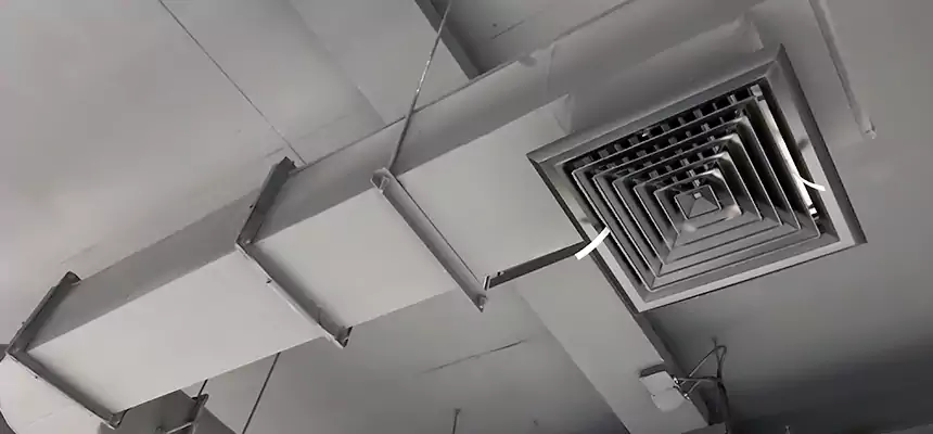 Our Pest Removal From Ducts Services in Cudahy, WI