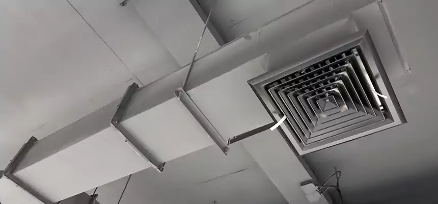 Our Rodent Droppings In Vents Services in Cudahy, WI