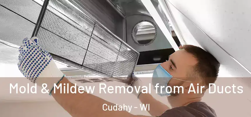 Mold & Mildew Removal from Air Ducts Cudahy - WI