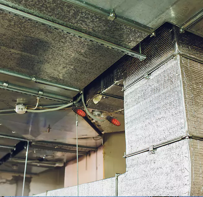 Why Homeowners & Businesses Trust Us in Cudahy, WI?