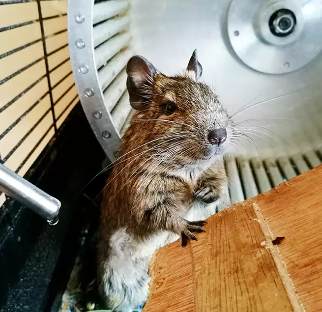 Why Homeowners & Businesses Trust Us Cudahy, WI