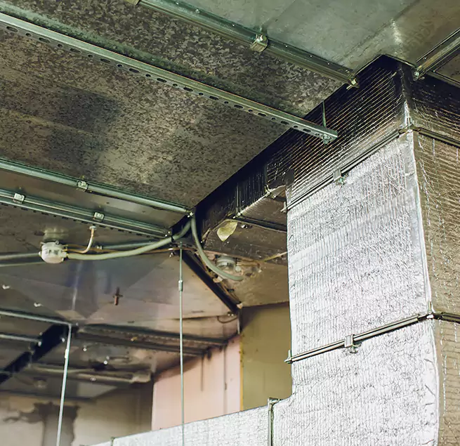 Why Homeowners & Businesses Trust Us in Cudahy, WI?